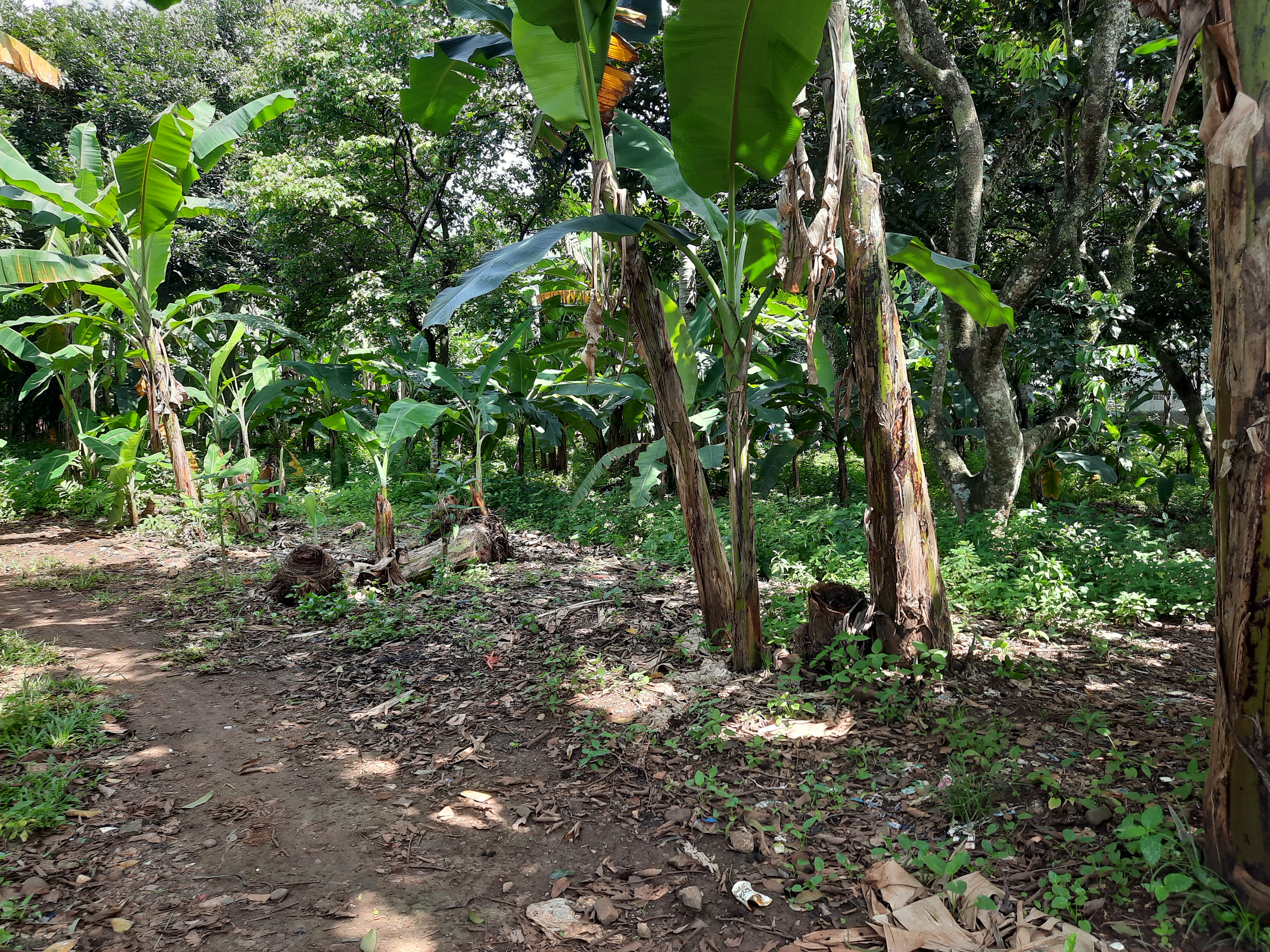 Ini Lokasi Lahan Proyek Rusun DP 0 Rupiah Yang Diduga Bermasalah