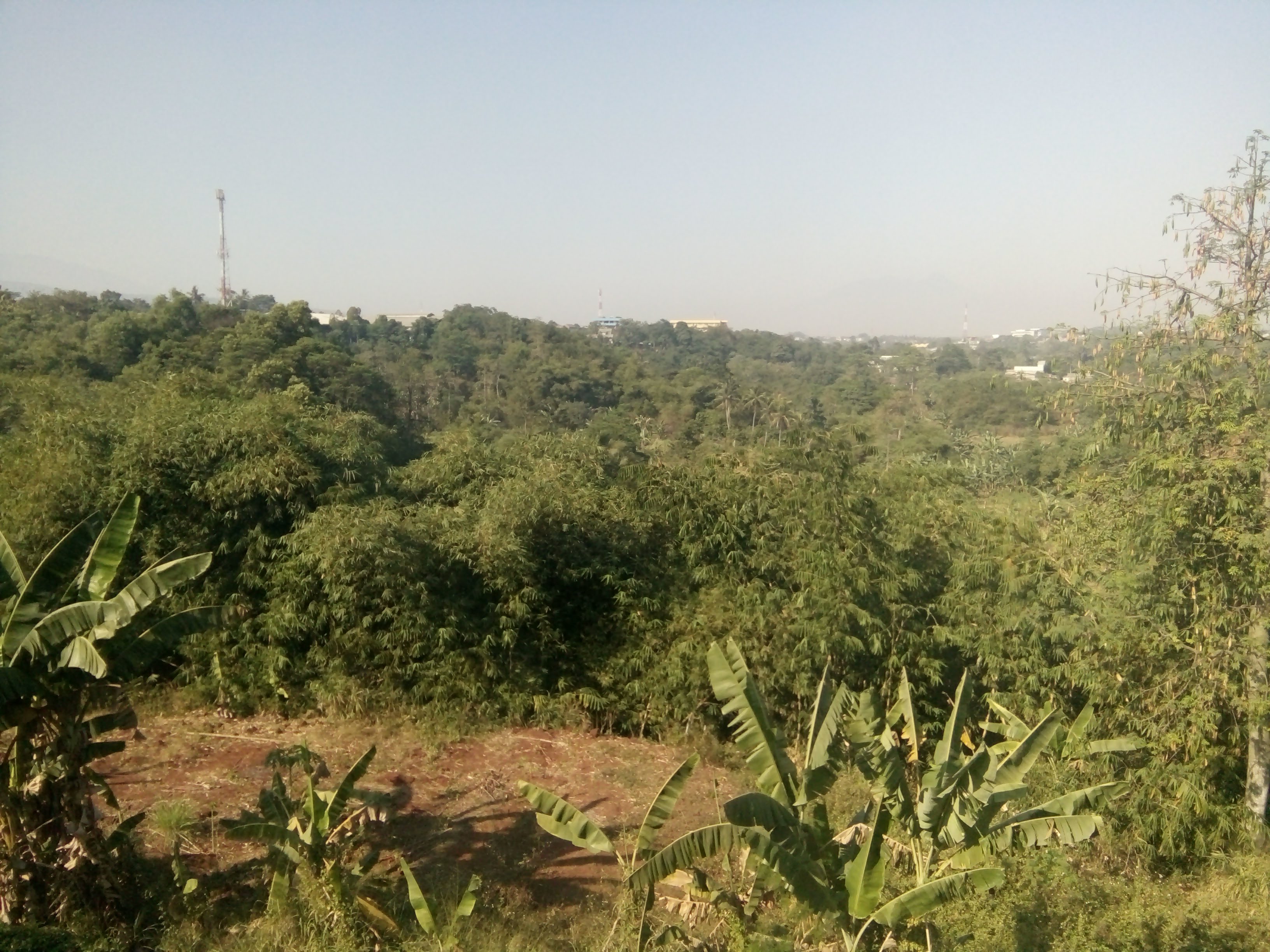 ATR/BPN Terbitkan Sertifikat Elektronik untuk Lahan