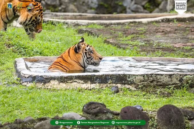 Lippo Karawaci Bukukan Pra Penjualan Rp1,28 Triliun di Kuartal II 2022